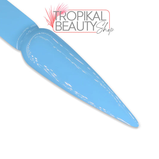 A12 Blueberry Cheesecake