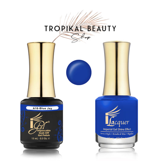 A16 blue jay