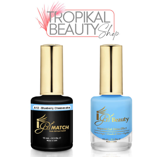 A12 Blueberry Cheesecake